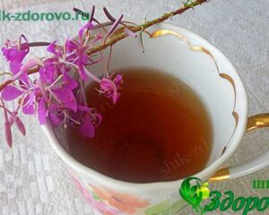 ферментация иван чая в домашних условиях